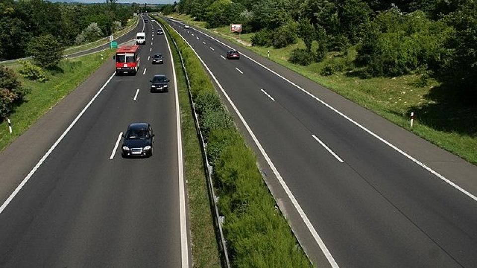 Kövessétek nyomon Törpilla gyógyulását a Petissimoval