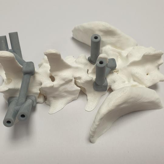 3D nyomtatás a kisállatgyógyászatban