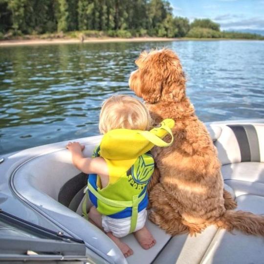 A gyerekek segíteni akarnak az állatokon