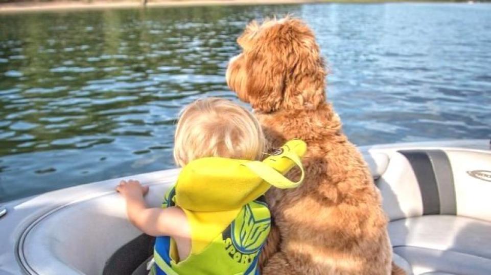 A gyerekek segíteni akarnak az állatokon