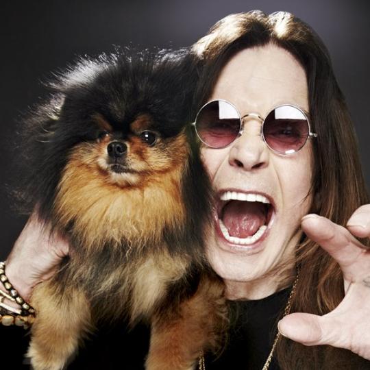 Ozzy Osbourne és a kutyák