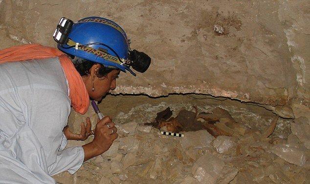 Forrás: dailymail.co.uk_Anubis katakombái ásatás