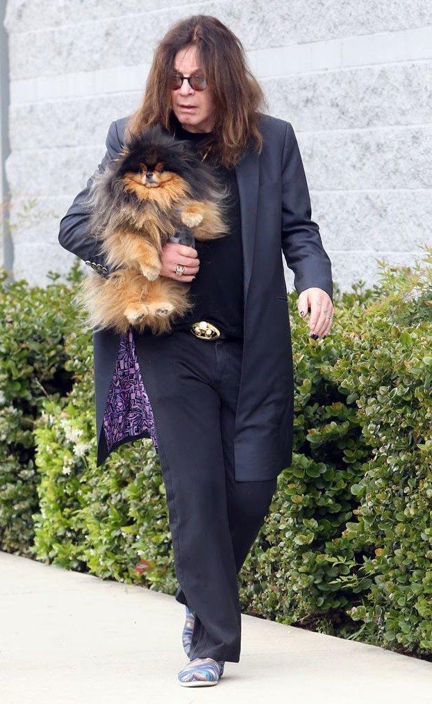 ozzy