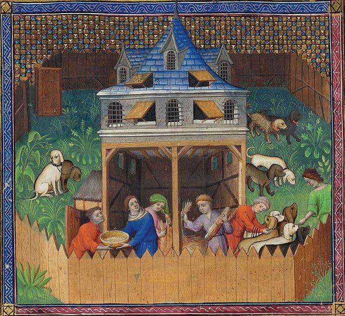 középkori kutyakennel