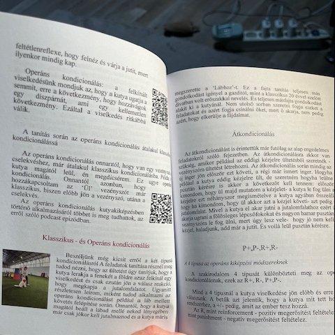 Hogyan neveljünk boldog kutyát