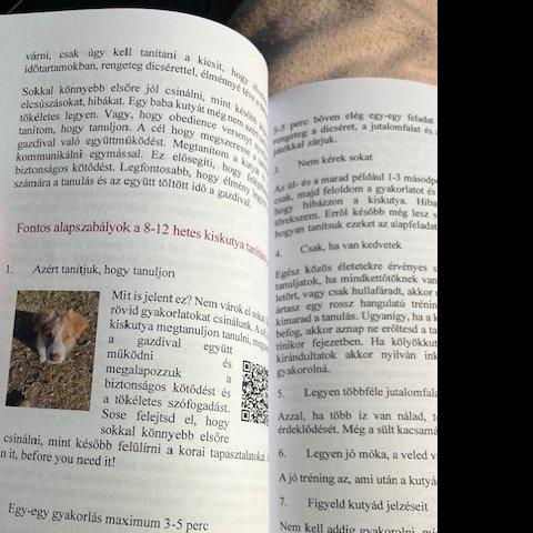 Hogyan neveljünk boldog kutyát