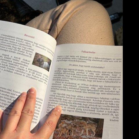 Hogyan neveljünk boldog kutyát