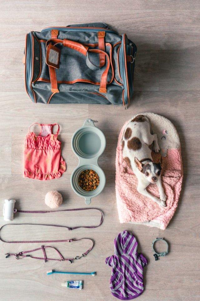kutya és kutyásholmik táska mellett