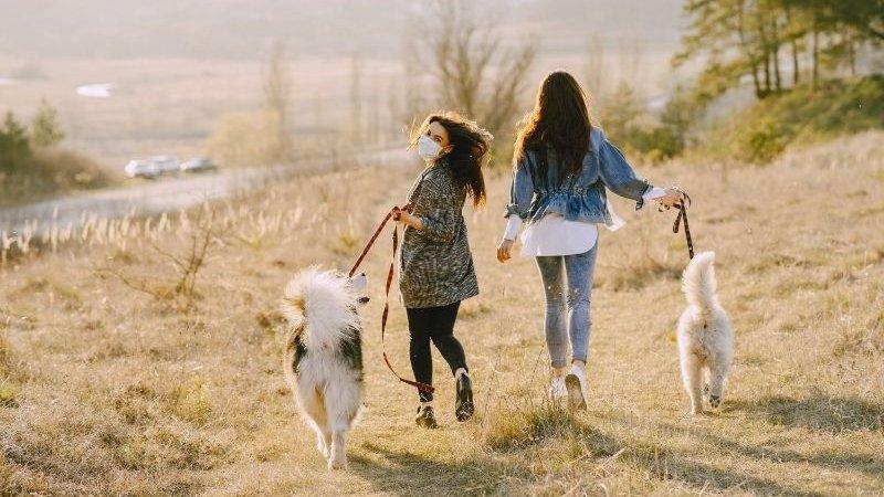 nők sétálnak kutyáikkal