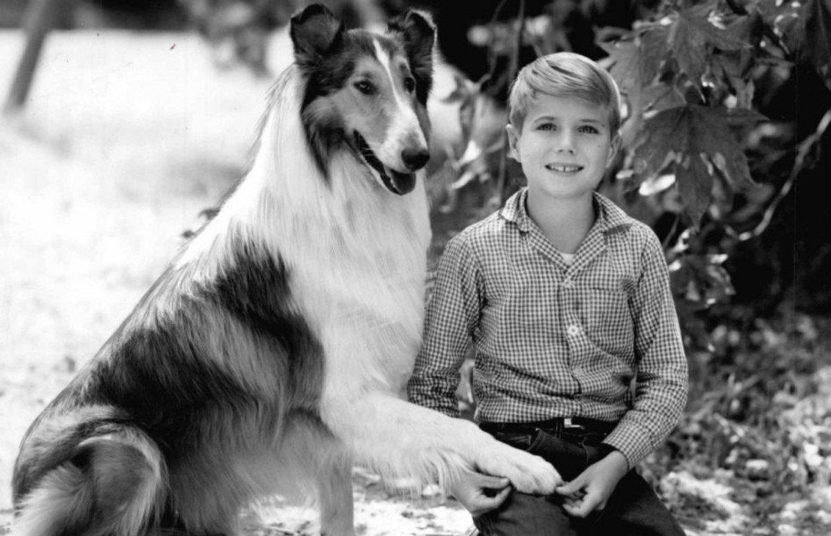 Lassie