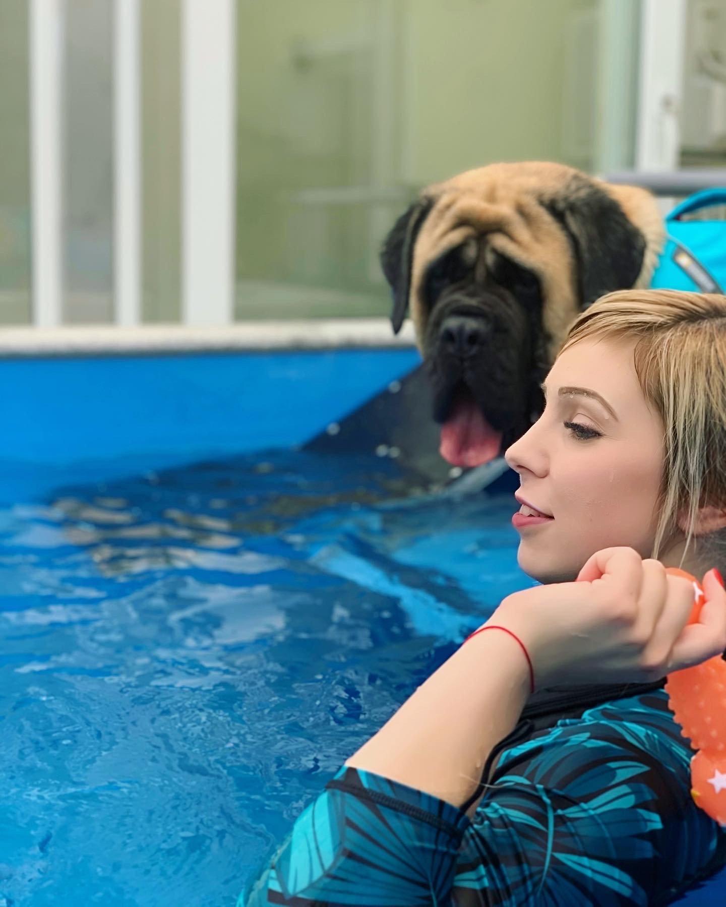 nő játékot dob kutyának a medencében