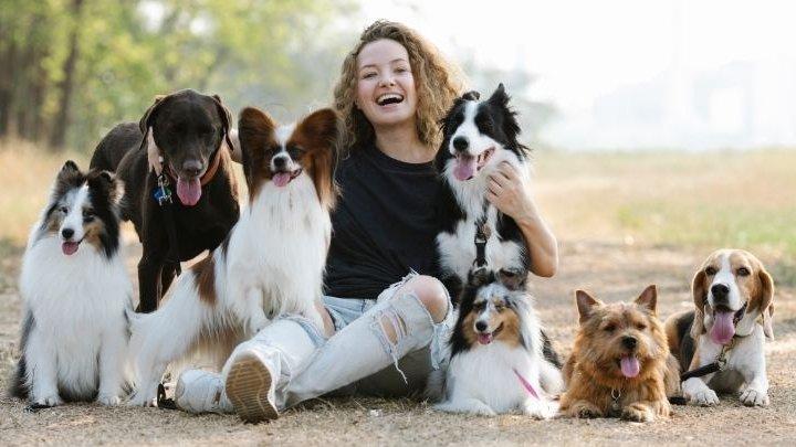 nő sok kutyával pihen kirándulás közben