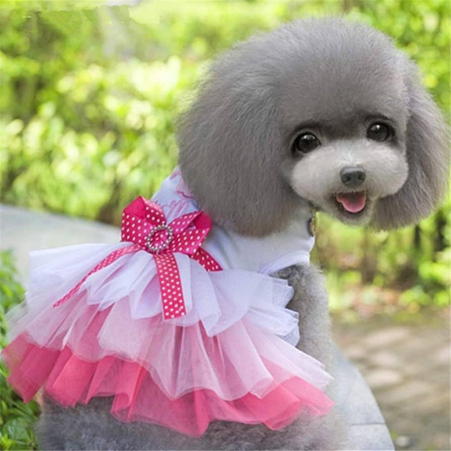 rózsaszín ruhás szürke kutya