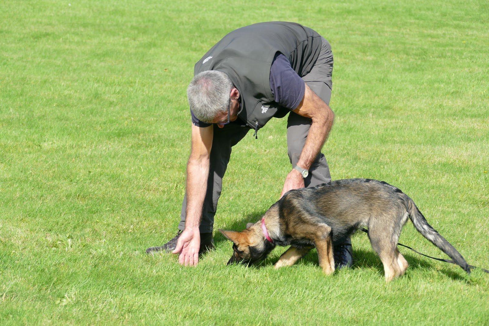 Kezdő nyomkövető képzés_forrás: dogsection.devon-cornwall.police.uk