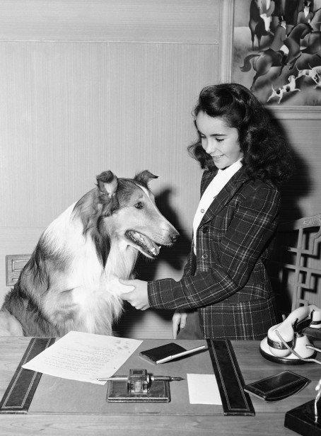 Lassie és Elisabeth Taylor, forrás:journalstar.com