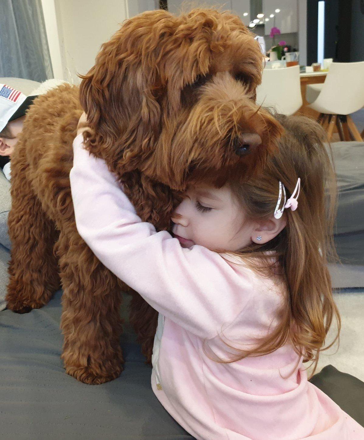 kislány öleli a kutyáját
