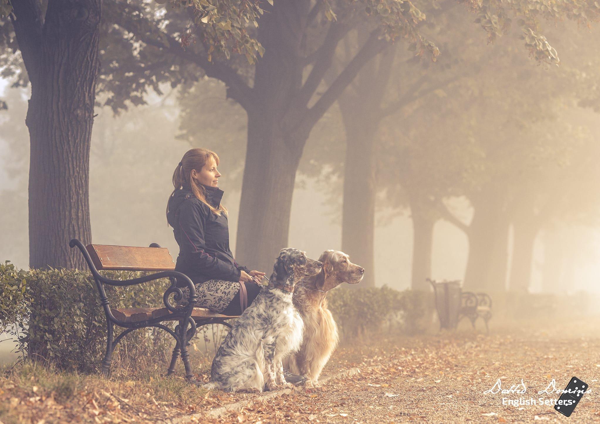 Nő ül a parkban ősszel kutyáival