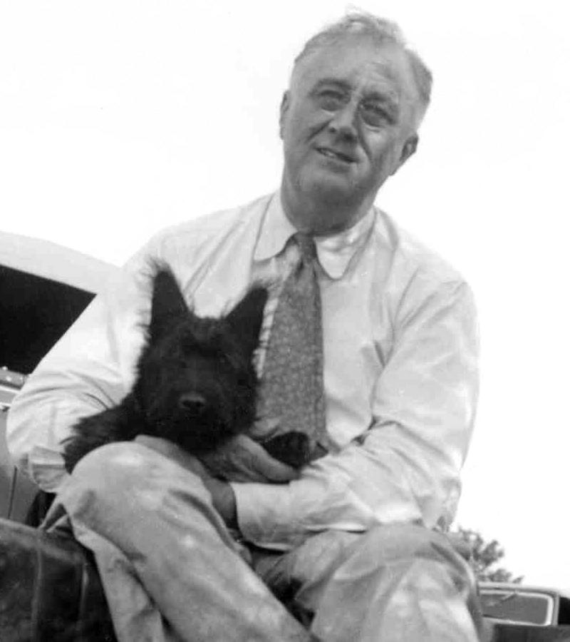 F.D.Roosevelt és Fala_forrás: wikipedia.org